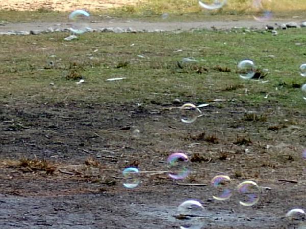  Bildname: IM000660.JPG 
 Breite: 640 Pixel 
 H�he: 480 Pixel 
 Gr�sse: 66 kB 