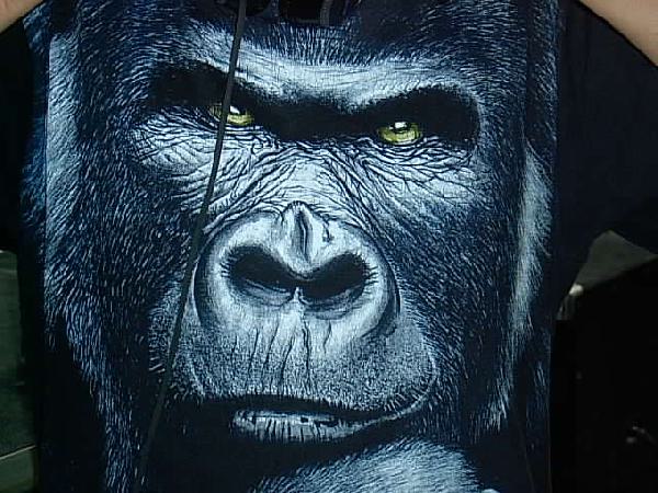  Bildname: IM000670.JPG 
 Breite: 640 Pixel 
 H�he: 480 Pixel 
 Gr�sse: 60 kB 