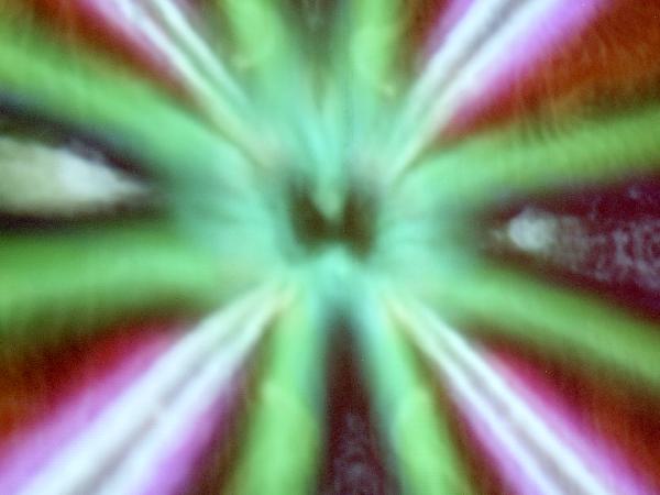  Bildname: IM000674.JPG 
 Breite: 2048 Pixel 
 H�he: 1536 Pixel 
 Gr�sse: 693 kB 