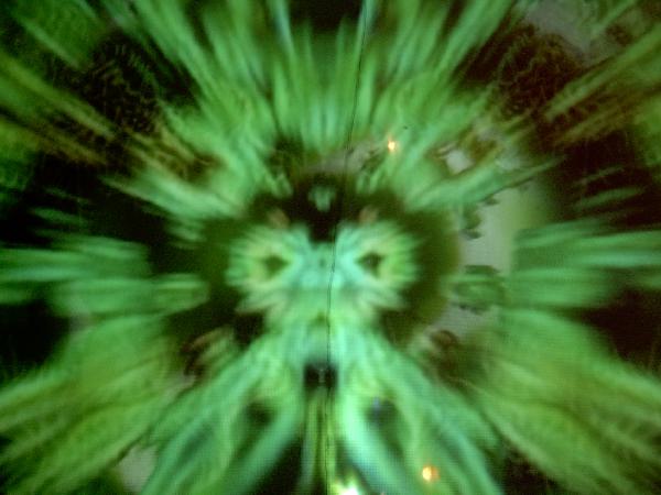  Bildname: IM000678.JPG 
 Breite: 2048 Pixel 
 H�he: 1536 Pixel 
 Gr�sse: 724 kB 