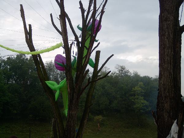  Bildname: IM000928.JPG 
 Breite: 2048 Pixel 
 H�he: 1536 Pixel 
 Gr�sse: 761 kB 