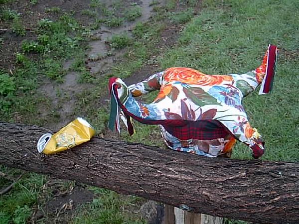  Bildname: IM000961.JPG 
 Breite: 640 Pixel 
 H�he: 480 Pixel 
 Gr�sse: 67 kB 