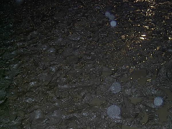  Bildname: IM001255.JPG 
 Breite: 640 Pixel 
 H�he: 480 Pixel 
 Gr�sse: 64 kB 